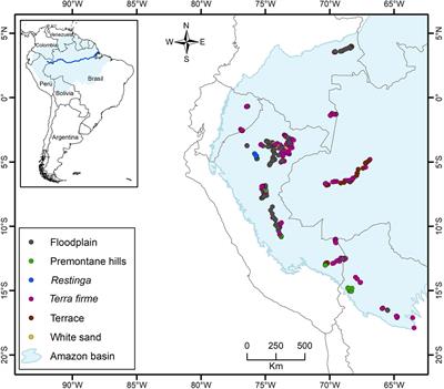 Palm Functional Traits, Soil Fertility and Hydrology Relationships in Western Amazonia